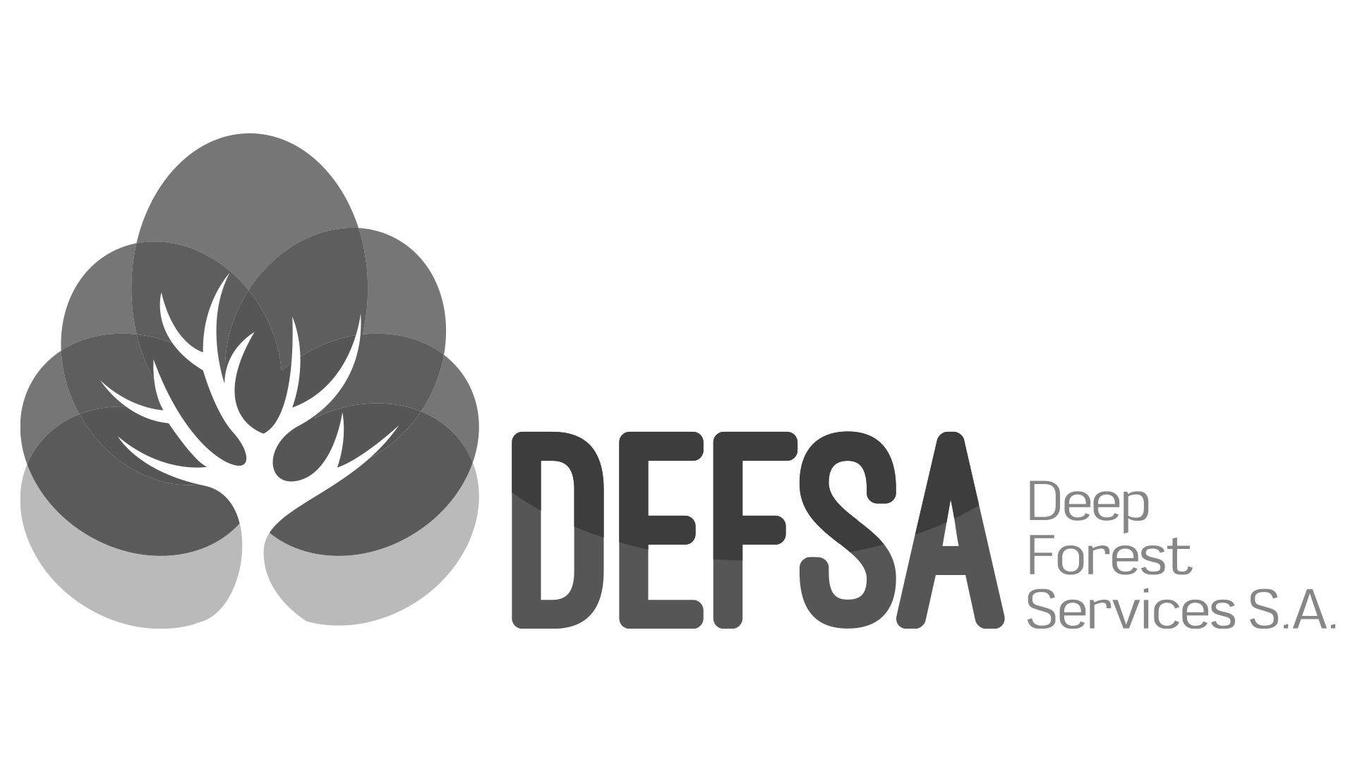 Logo Defsa